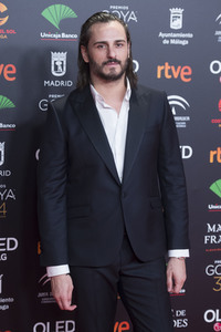 Nominiertenparty zur 34. Goya Filmpreis Verleihung in Madrid