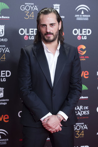 Nominiertenparty zur 34. Goya Filmpreis Verleihung in Madrid