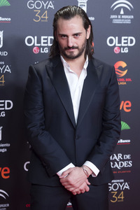 Nominiertenparty zur 34. Goya Filmpreis Verleihung in Madrid