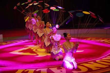 Generalprobe '16. Original Roncalli Weihnachtscircus' in Berlin