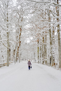 Symbolbild Winter