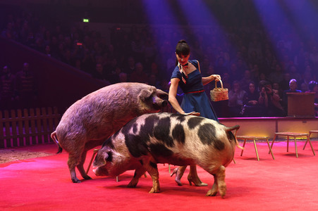 Premiere 1. Winterprogramm 2019 Circus Krone in München