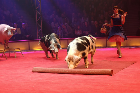 Premiere 1. Winterprogramm 2019 Circus Krone in München