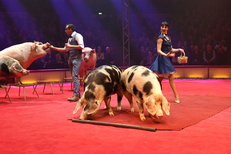 Premiere 1. Winterprogramm 2019 Circus Krone in München