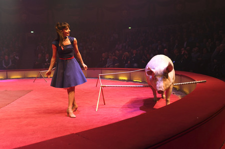 Premiere 1. Winterprogramm 2019 Circus Krone in München