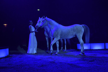 Premiere 1. Winterprogramm 2019 Circus Krone in München