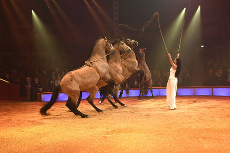 Premiere 1. Winterprogramm 2019 Circus Krone in München