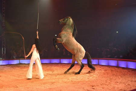 Premiere 1. Winterprogramm 2019 Circus Krone in München