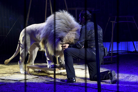 Premiere 1. Winterprogramm 2019 Circus Krone in München