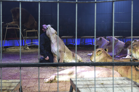 Premiere 1. Winterprogramm 2019 Circus Krone in München