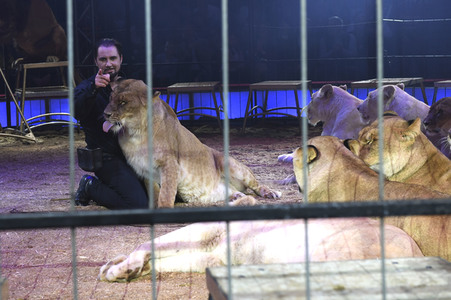 Premiere 1. Winterprogramm 2019 Circus Krone in München