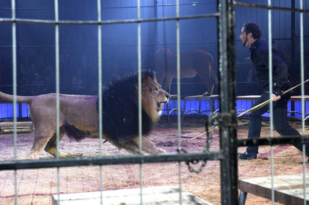 Premiere 1. Winterprogramm 2019 Circus Krone in München