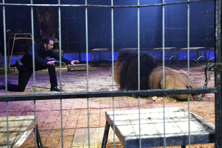 Premiere 1. Winterprogramm 2019 Circus Krone in München