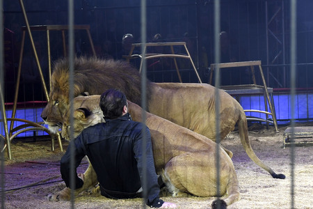 Premiere 1. Winterprogramm 2019 Circus Krone in München