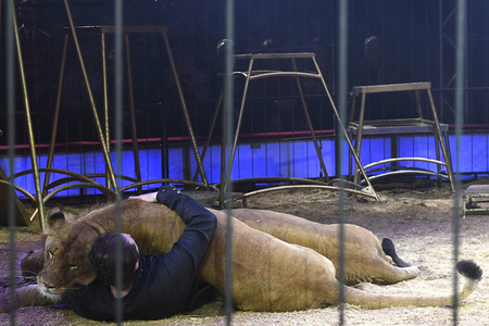 Premiere 1. Winterprogramm 2019 Circus Krone in München