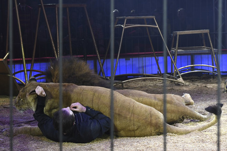 Premiere 1. Winterprogramm 2019 Circus Krone in München