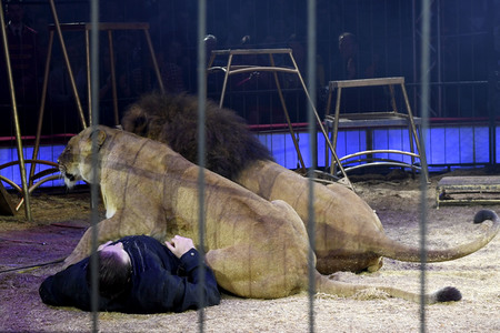 Premiere 1. Winterprogramm 2019 Circus Krone in München