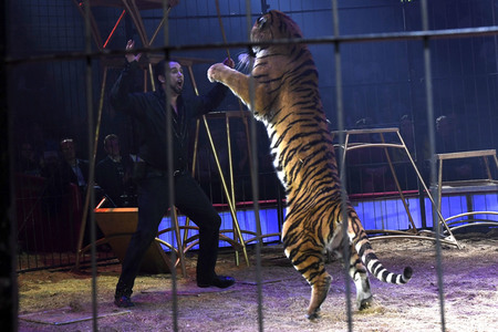 Premiere 1. Winterprogramm 2019 Circus Krone in München