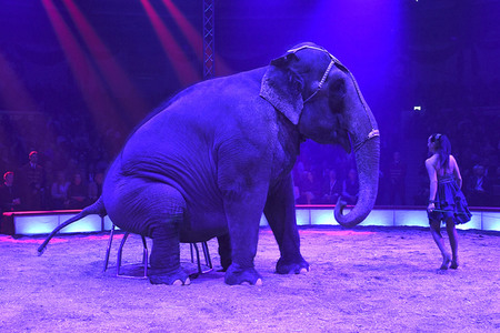 Premiere 1. Winterprogramm 2019 Circus Krone in München