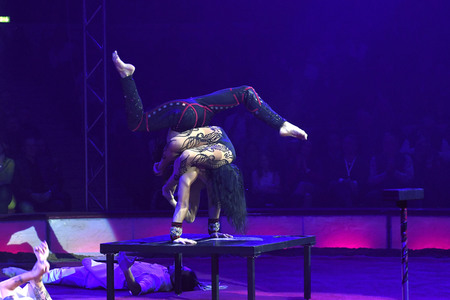 Premiere 1. Winterprogramm 2019 Circus Krone in München