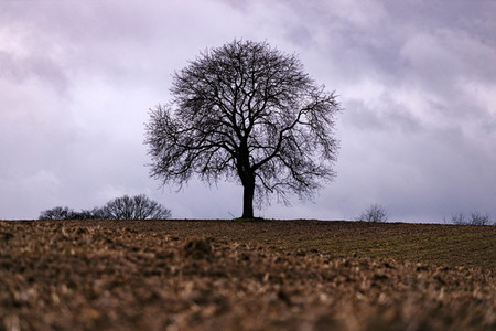 Symbolfoto Ackerland