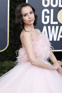 Golden Globe Awards 2020 in Beverly Hills