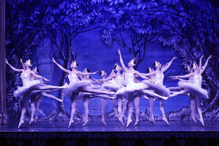 Das Russische Nationalballett mit 'Schwanensee' in Köln