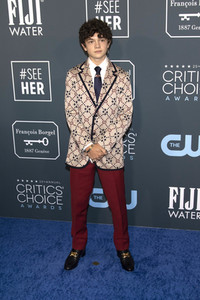 Critics' Choice Awards 2020 in Santa Monica