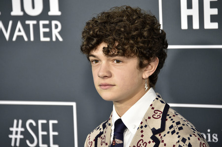 Critics' Choice Awards 2020 in Santa Monica