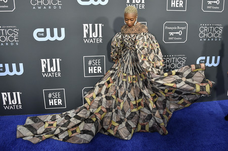 Critics' Choice Awards 2020 in Santa Monica