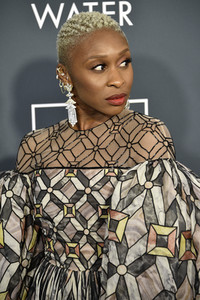 Critics' Choice Awards 2020 in Santa Monica