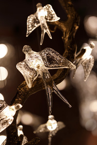 Möbelmesse imm cologne 2020 in Köln