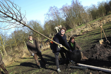 Atze Schröder pflanzt einen Baum in Hamburg