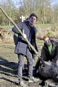 Atze Schröder pflanzt einen Baum in Hamburg