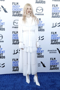 Film Independent Spirit Awards 2020 in Santa Monica