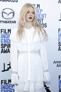 Film Independent Spirit Awards 2020 in Santa Monica