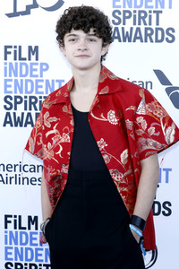 Film Independent Spirit Awards 2020 in Santa Monica