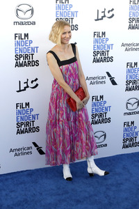 Film Independent Spirit Awards 2020 in Santa Monica