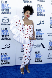 Film Independent Spirit Awards 2020 in Santa Monica