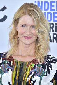 Film Independent Spirit Awards 2020 in Santa Monica