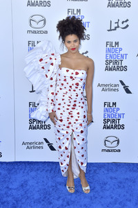Film Independent Spirit Awards 2020 in Santa Monica