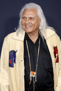 Filmpremiere 'Ruf der Wildnis' in Los Angeles