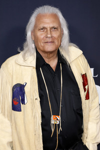 Filmpremiere 'Ruf der Wildnis' in Los Angeles