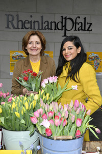 Pressetermine 'Dein Tag für Afrika' in Berlin