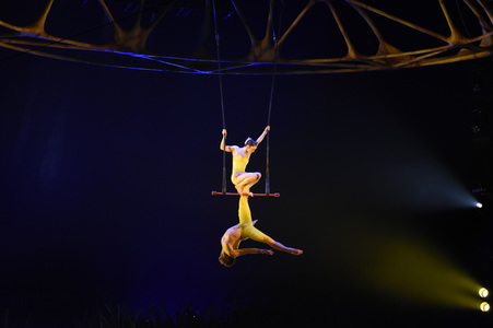 Show-Premiere 'Cirque du Soleil - Totem' in München