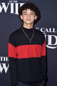 Filmpremiere 'Ruf der Wildnis' in Los Angeles