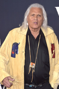 Filmpremiere 'Ruf der Wildnis' in Los Angeles