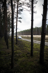 Ein Tesla Model 3 in Grünheide