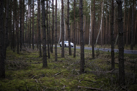 Ein Tesla Model 3 in Grünheide