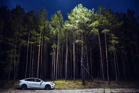 Ein Tesla Model 3 in Grünheide